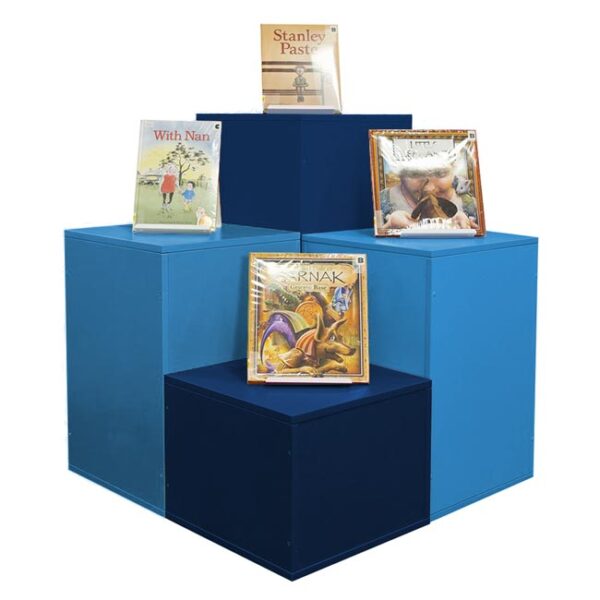 Cube multi level library book display