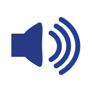 0010aud Audio Spine Label.jpg