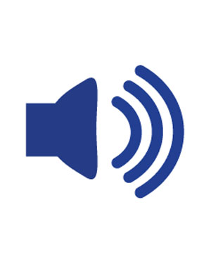 0010aud Audio Spine Label.jpg