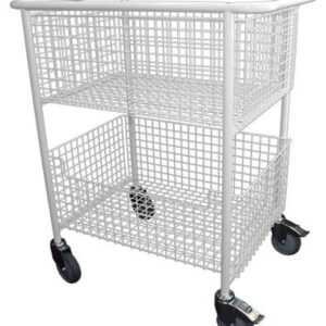 Model D 125 Wedgewood.jpg