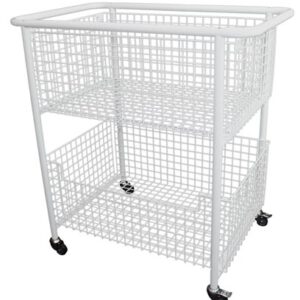 Model D 50 Wedgewood.jpg