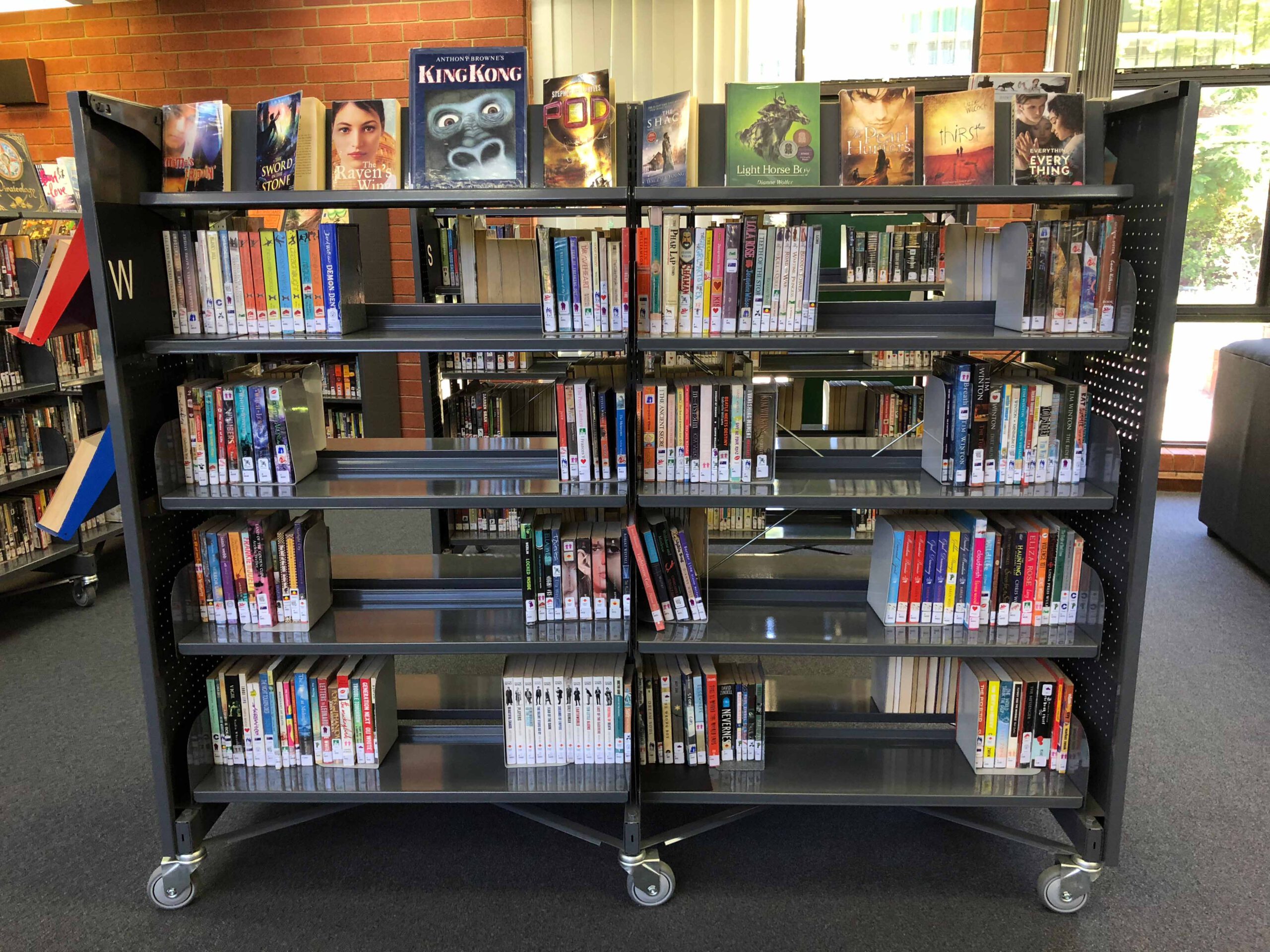 Paperback Shelving Top Shelf Display Roseberry Grey On Rollaway Shelving.jpg