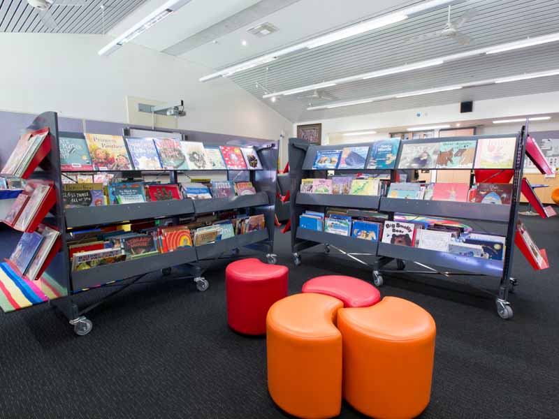 Picture Book Low Profile Browser Bin 1.jpg