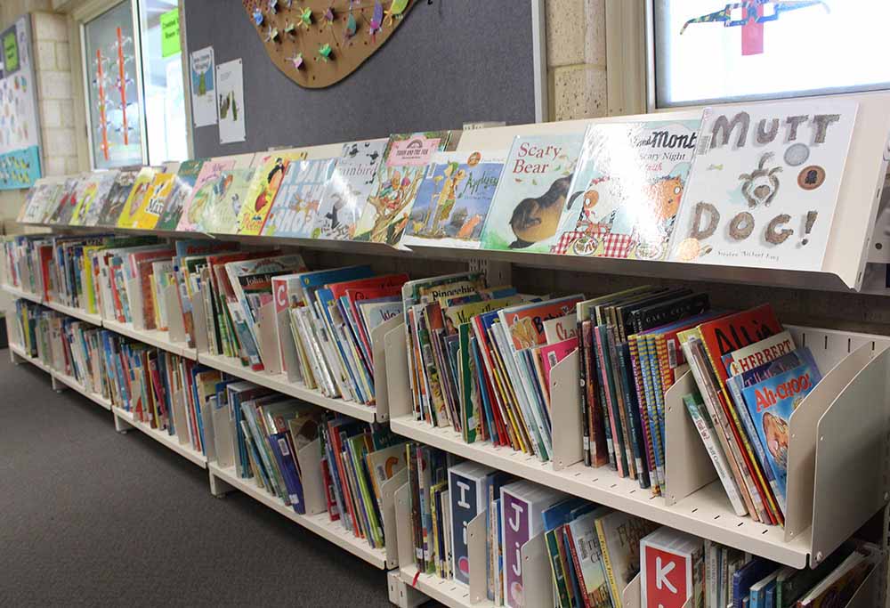 Picture Book Shelving With Divider Shelves