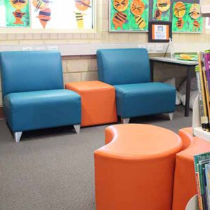 Sizzle Ottomans In Library.jpg