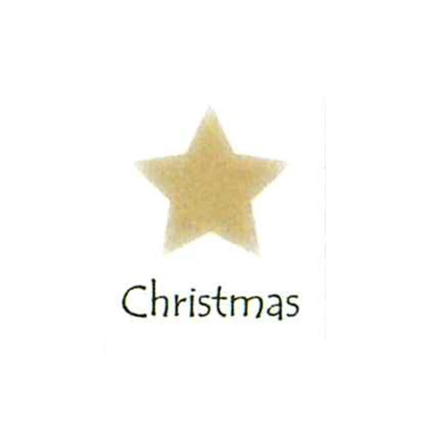 Web 0010christmas Star Spine Label.jpg