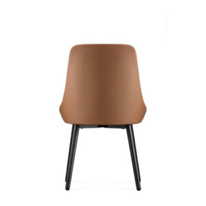 Web 6744 Amb Back.jpg