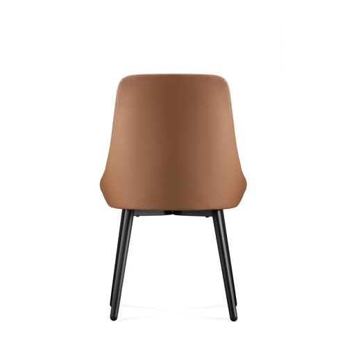 Web 6744 Amb Back.jpg