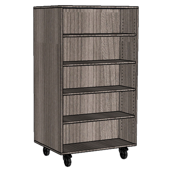 Double Sided Library Bookcase