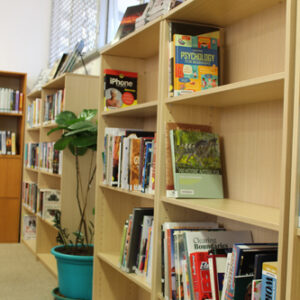 Web Display Top Silver Ash.jpg