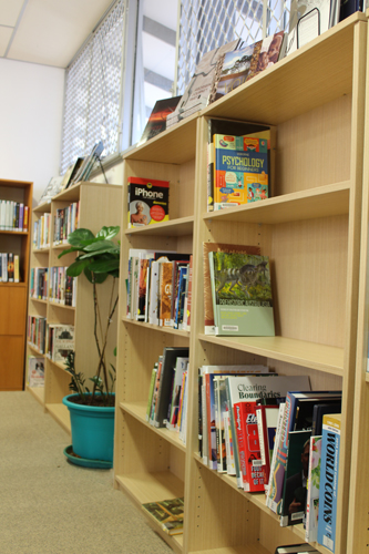 Web Display Top Silver Ash.jpg