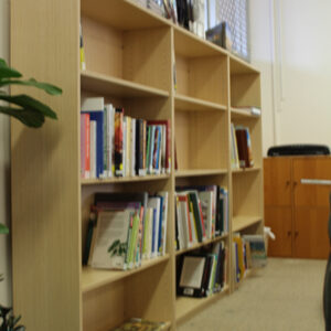 Web Display Top Silver Ash2.jpg