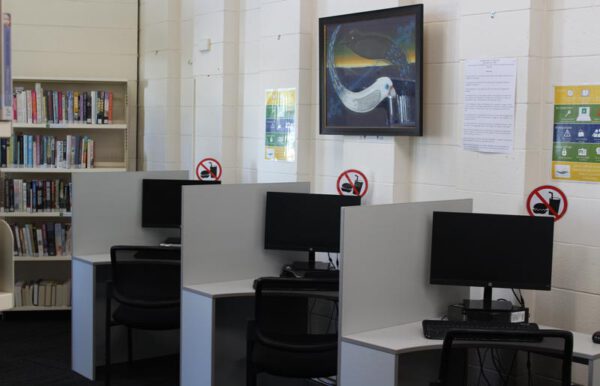 Web Study Carrel In Use.jpg