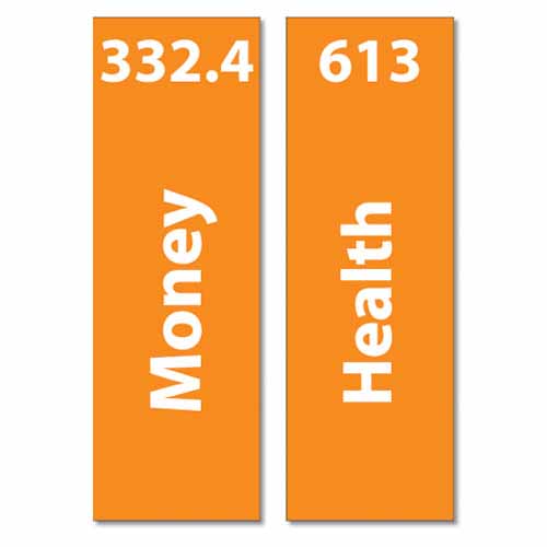 Non Fiction Senior Acrylic Collection Vinyl Cut Out Expanded Set 4.jpg