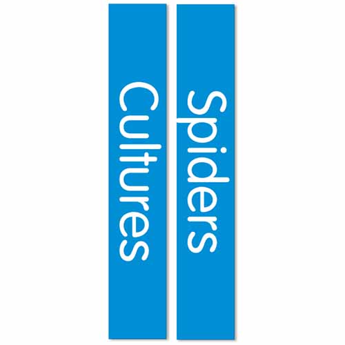 Non Fiction Slimline Vinyl Cut Out Exp Set 3.jpg