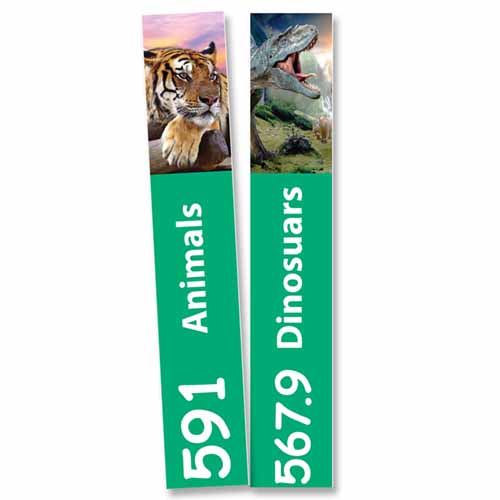 Slimline Nf Updates Layout 1