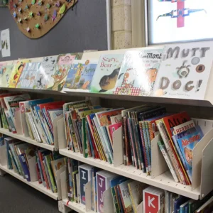 Picture book shelving with divider shelves