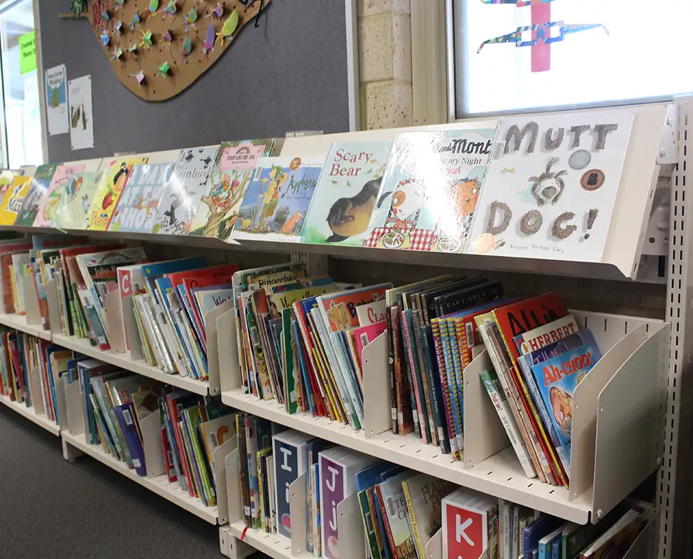 Picture book shelving with divider shelves