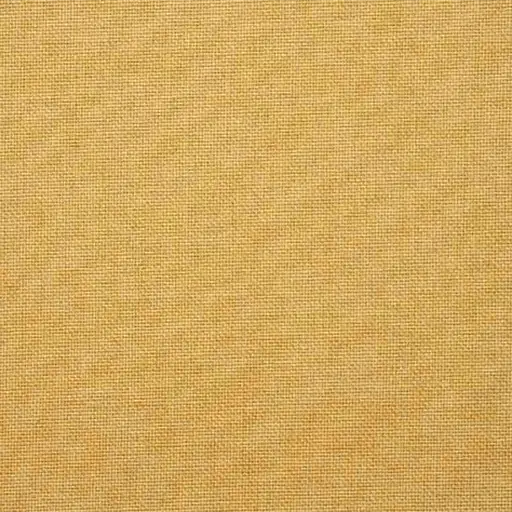 Warwick Beachcomber Tumeric