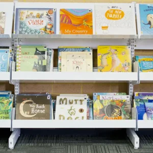 Front facing browser book display