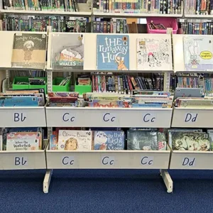 Hydestor book tubs