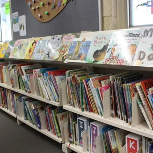 Picture book shelving with divider shelves