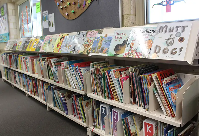 Picture book shelving with divider shelves