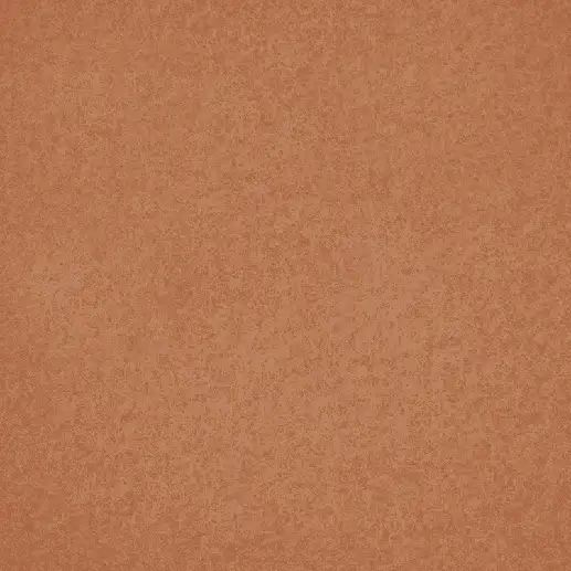 Autex Vertiface Canyon