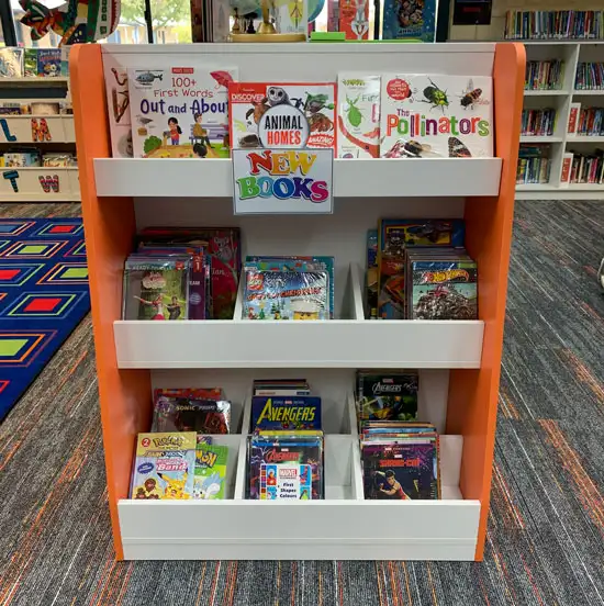 Picture Book Display