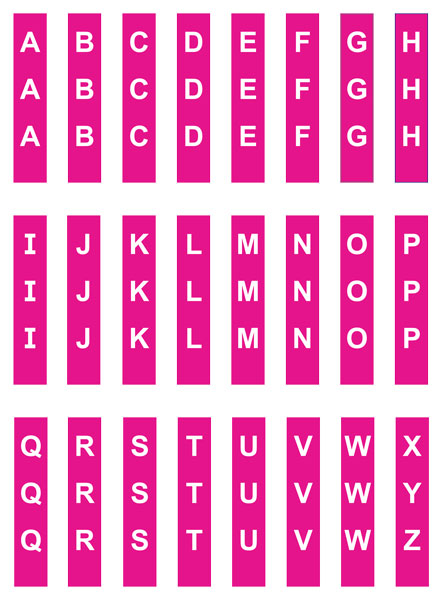 Fiction Slimline Dividers – Stickers Only – 24 Pack – D1 - Image 4