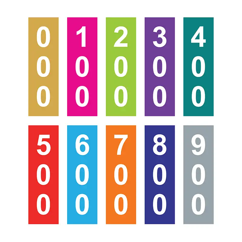 Non Fiction Multicolour Divider Set